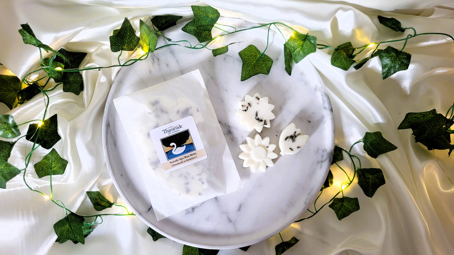 Seaside Spa Wax Melts (made with essential oils)