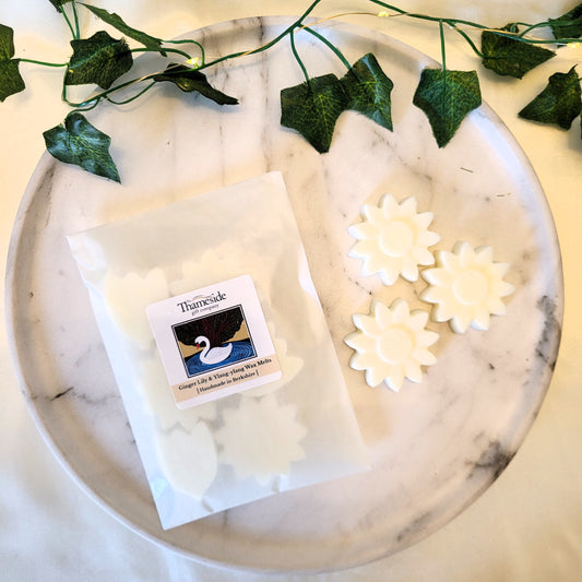 Ginger Lily & Ylang-ylang Wax Melts (made with essential oils)