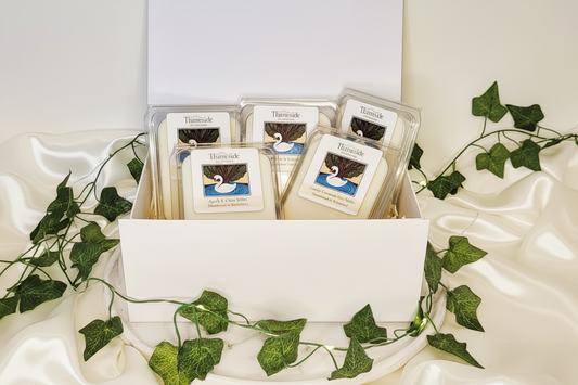 Wax Melt Gift Set (Large)